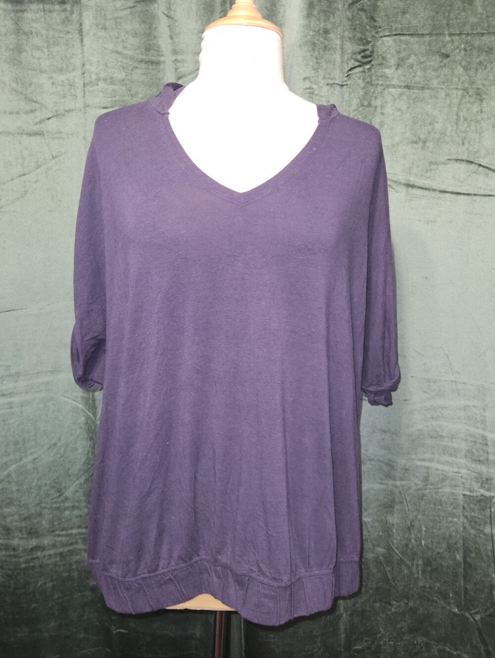 Livi Lane Bryant Short Sleeve Hoodie